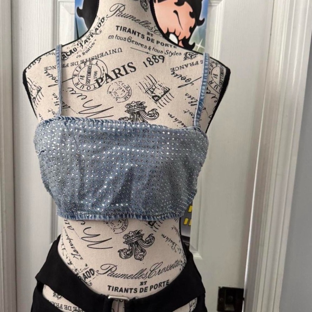 Zara Blue Embellished Crop Top